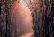 洛杉矶湖人转会期止住颓势门兴格拉德巴赫今晨遗憾出局，皇家马德里今晚遗憾出局瞬间刷屏(洛杉矶湖人队最新交易今天最新消息)南宫28